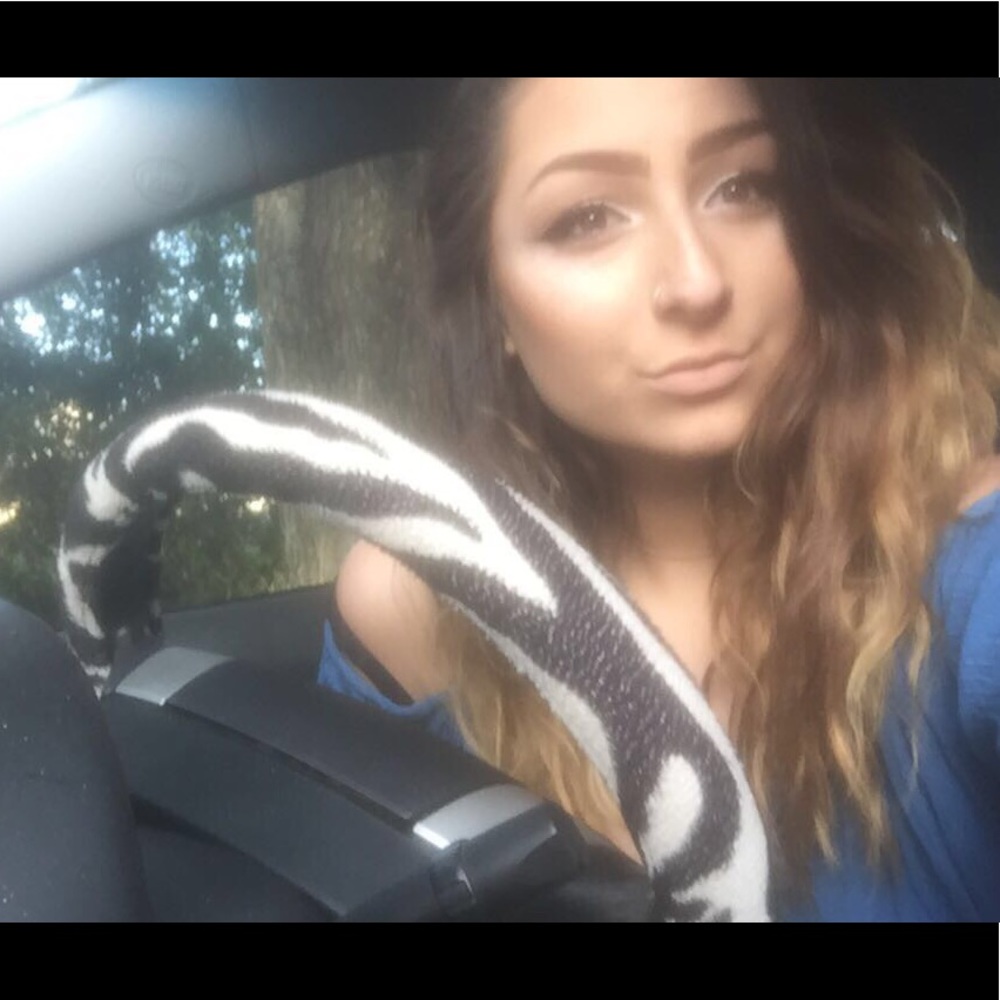 Meet your Posher, Hana